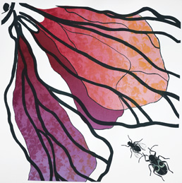 Serigrafi Hommage till Darwin II.